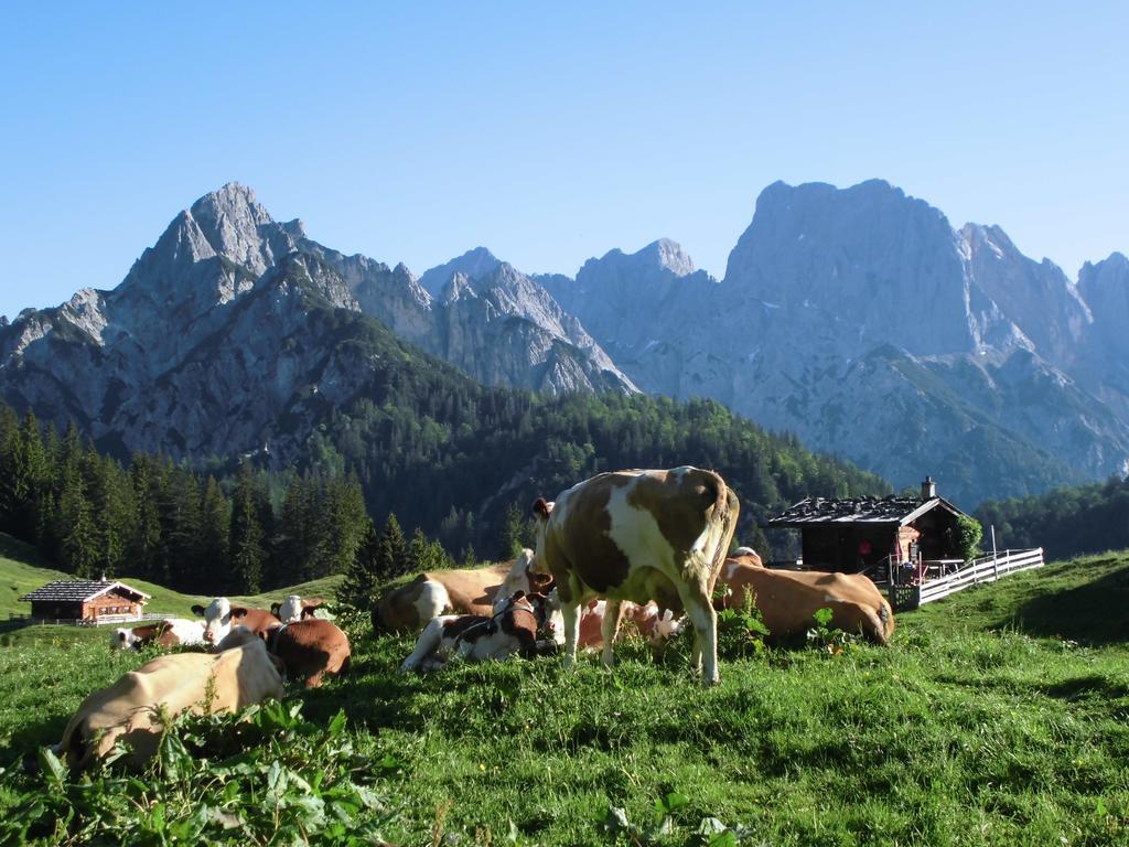 Appartamento Haus Buchenwald Ramsau bei Berchtesgaden Esterno foto